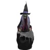 DECORATION HALLOWEEN SORCIERE AVEC CHAUDRON SON LUMIERE ET ANIME