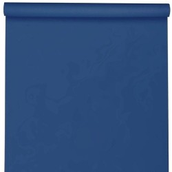 NAPPE SPUNBOND 60G/ M2 BLEU ROI EN ROULEAU 1,20 M X 10 M