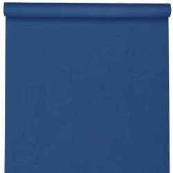 NAPPE SPUNBOND 60G/ M2 BLEU ROI EN ROULEAU 1,20 M X 10 M