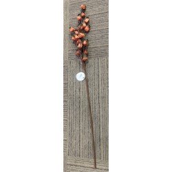 TIGE DE PHIYSALIS ORANGE ET NOIR 20 CM X 89 CM 