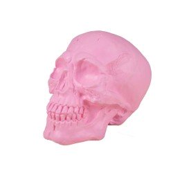 CRANE SQUELETTE ROSE 