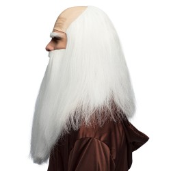 PERRUQUE DESGARNIE CHEVEUX LONGS BLANCS+ BARBE BLANCHE DE MERLIN DRUIDE 