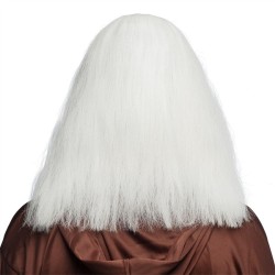 PERRUQUE DESGARNIE CHEVEUX LONGS BLANCS+ BARBE BLANCHE DE MERLIN DRUIDE 