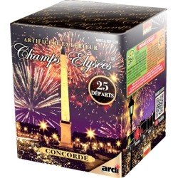 BATTERIE FEU D'ARTIFICE CHAMPS ELYSEES 25 DEPARTS  