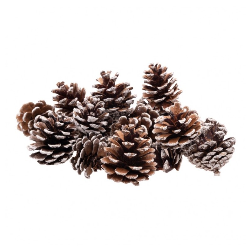 SACHET 100G POMMES DE PINS NEIGE 