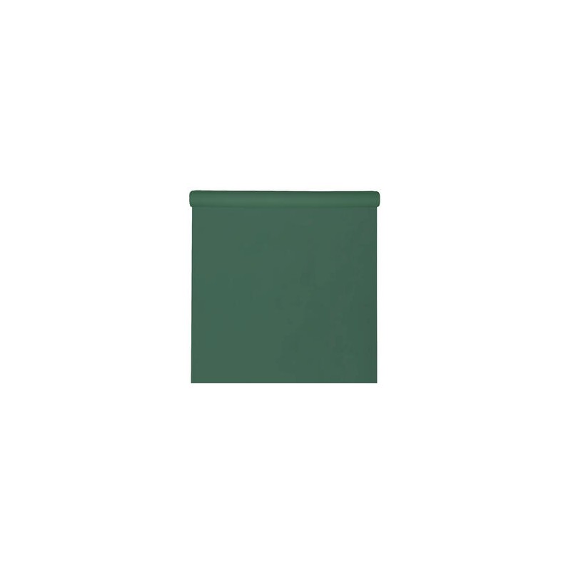 NAPPE SPUNBOND 60G/ M2 VERT FONCE OU SAPIN EN ROULEAU 1,20 M X 10 M