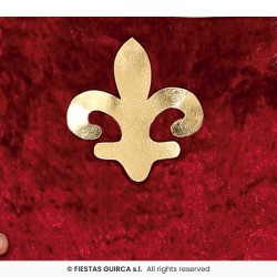 DEGUISEMENT FILLE MEDIEVALE PRINCESSE ROBE BORDEAU ORNEMENTS OR TAILLE 10-12