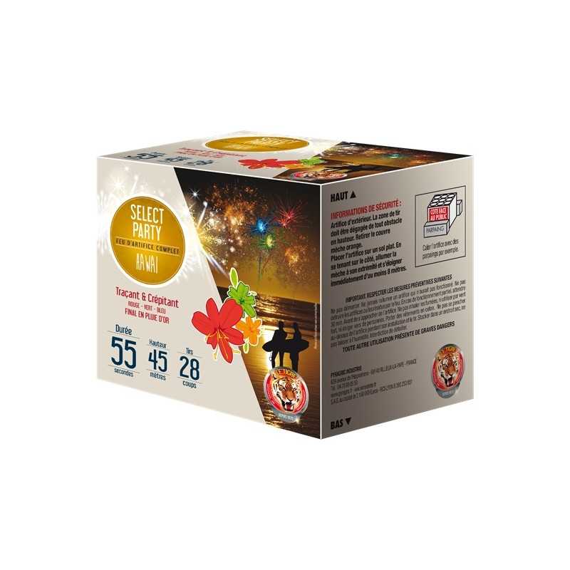 FEU D'ARTIFICE COMPACT HAWAÏ 55 SECONDES