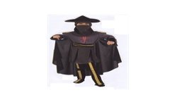 DEGUISEMENT WARIOR SCORPION TAILLE 7/9 ANS 