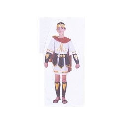 DEGUISEMENT CESAR FLEUR DE LYS TAILLE 128 CM