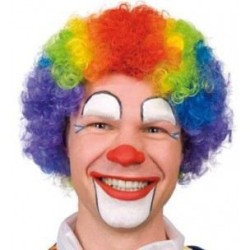PERRUQUE CLOWN MULTICOLORE