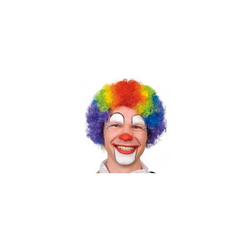 PERRUQUE CLOWN MULTICOLORE