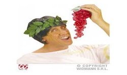 COURONNE LAURIER VERTE