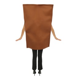 DEGUISEMENT MONA LISA TAILLE UNIQUE