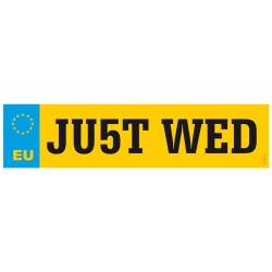 PLAQUE IMMATRICULATION MARIAGE