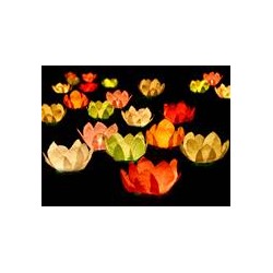 6 LANTERNES NENUPHAR