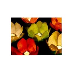 6 LANTERNES NENUPHAR