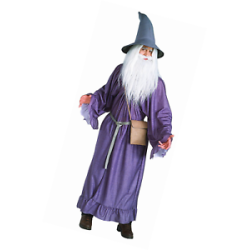 DEGUISEMENT GANDALF LE SEIGNEUR DES ANNEAUX