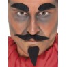 MOUSTACHE BARBE CACHE SOURCILS DIABLE
