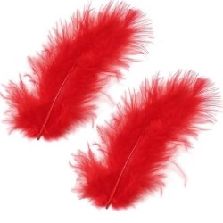 20 PLUMES ROUGE PIED DE POULE 8 CM