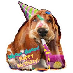 BALLON METALLIQUE CHIEN AVEC CHAPEAU DE FETE HAPPY BIRTHDAY 55 X 63 CM
