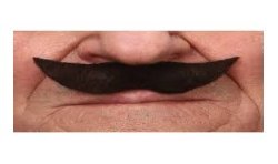 MOUSTACHE AVEC POINTE