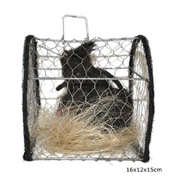 PIEGE A RAT CAGE AVEC RAT