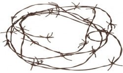 FAUX BARBELE EN CORDE 3.70 METRES