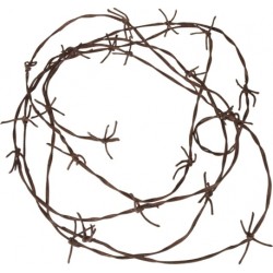 FAUX BARBELE EN CORDE 3.70 METRES