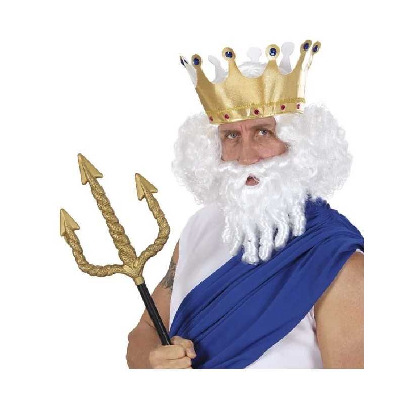 PERRUQUE BARBE ET MOUSTACHE DIEU DE L'OLYMPE POSSEIDON