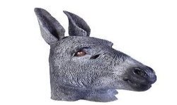 MASQUE ANE GRIS 