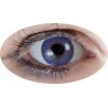 LENTILLES YEUX VIOLET 1 AN