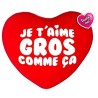 COUSSIN 50 CM JE T'AIME GROS COMME CA