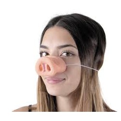 NEZ DE COCHON