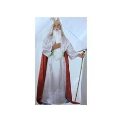 DEGUISEMENT MAGICIEN POTION MAGIQUE TAILLE M/L