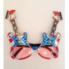 LUNETTE GUITARD ROCK ETAT UNIS