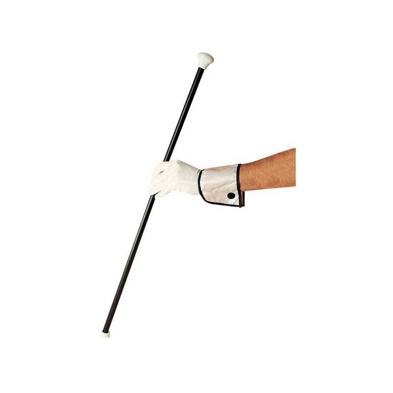 CANNE NOIR EMBOUT ROND BLANC EN PLASTIQUE