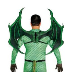 AILES DE DRAGON 100 X 80 CM