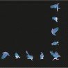 16 SERVIETTES NOIRES MOTIFS OISEAUX BLEU NUIT 33 X 33 CM 