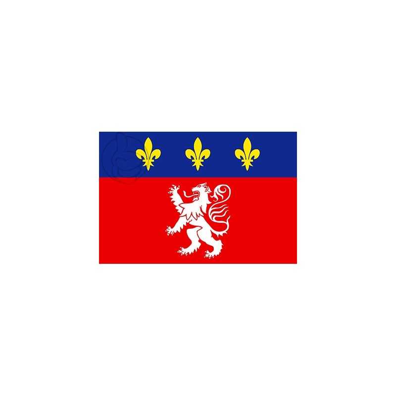 DRAPEAU VILLE DE LYON EN TISSU 60 X 90 CM
