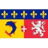 DRAPEAU RHONE ALPES EN TISSU 90 X 150 CM