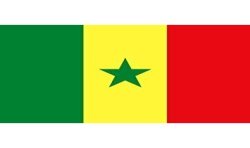 DRAPEAU SENEGAL EN TISSU 90 X 150 CM