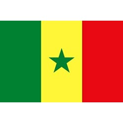 DRAPEAU SENEGAL EN TISSU 90 X 150 CM