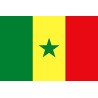 DRAPEAU SENEGAL EN TISSU 90 X 150 CM
