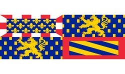 DRAPEAU EN TISSU BOURGOGNE FRANCHE COMTE 90 X 150 CM