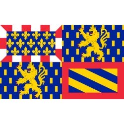 DRAPEAU EN TISSU BOURGOGNE FRANCHE COMTE 90 X 150 CM