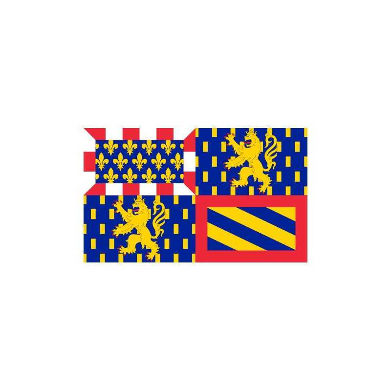 DRAPEAU EN TISSU BOURGOGNE FRANCHE COMTE 90 X 150 CM