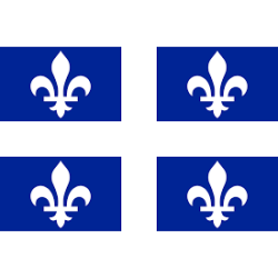 DRAPEAU QUEBEC EN TISSUS 90 X 150 CM