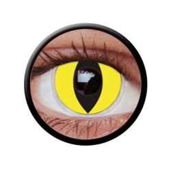 LENTILLES YEUX DE CHAT JAUNE 1 SEMAINE