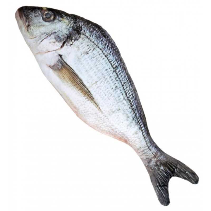 POISSON EN TISSU 55 CM